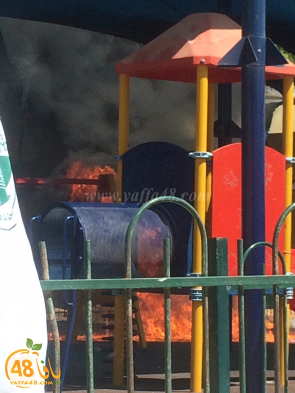 firealn jaami (7).jpg